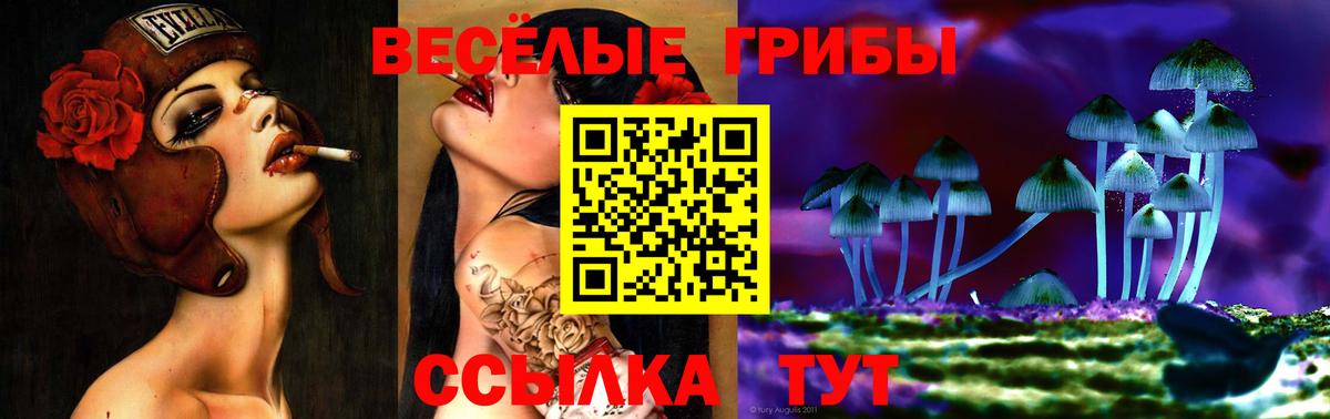 Красноармейск  Псилоцибиновые грибы Psilocybe  Вход с VPN 